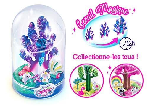 Canal Toys MSG 011 SO DIY So Magic - Terrario Grande para Hacer Crecer – Diseño Under The Sea