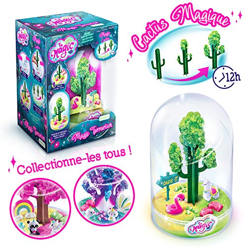 Canal Toys- So Magic- Terrario Grande – Desert, Color Arena (MSG 010)