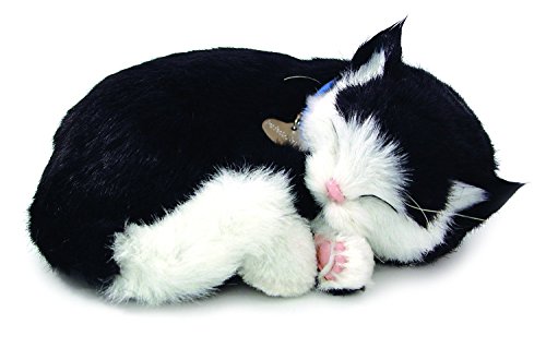 Cd3 - Gato de Peluche (10x23x19 cm) (4932)