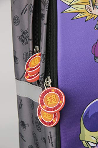 Clairefontaine Dragon Ball Estuches, 40 cm, Gris (Grigio)