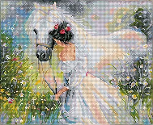 DIAMOND DOTZ DQK10-002 - Cuadros con diseño de Campo de sueños con Marco Blanco, 41 x 50 cm, Pintura de Diamante con Diamantes de imitación para Manualidades