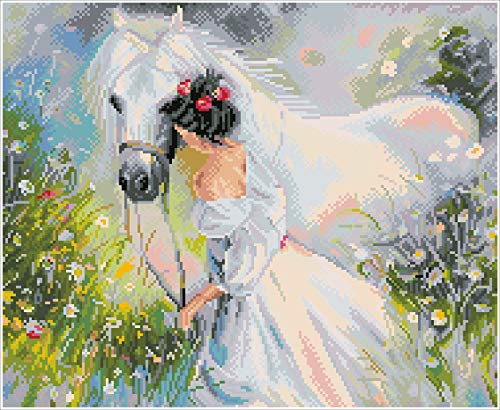 DIAMOND DOTZ DQK10-002 - Cuadros con diseño de Campo de sueños con Marco Blanco, 41 x 50 cm, Pintura de Diamante con Diamantes de imitación para Manualidades