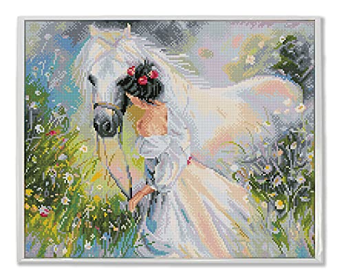 DIAMOND DOTZ DQK10-002 - Cuadros con diseño de Campo de sueños con Marco Blanco, 41 x 50 cm, Pintura de Diamante con Diamantes de imitación para Manualidades