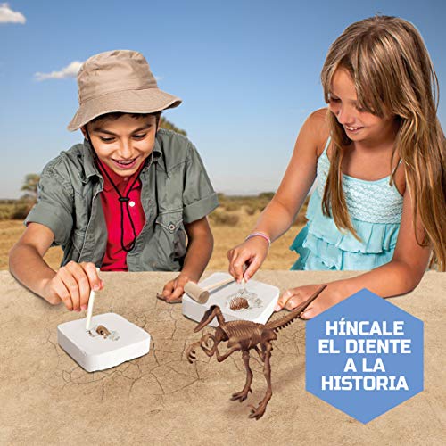 Discovery- Kit Juguete, Juego arqueología, arqueojugando, excavaciones fosiles, Esqueletos, desenterrar Dinosaurios (6000445)