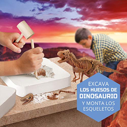 Discovery- Kit Juguete, Juego arqueología, arqueojugando, excavaciones fosiles, Esqueletos, desenterrar Dinosaurios (6000445)