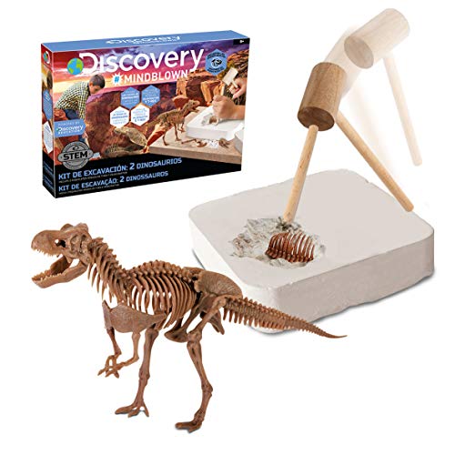 Discovery- Kit Juguete, Juego arqueología, arqueojugando, excavaciones fosiles, Esqueletos, desenterrar Dinosaurios (6000445)