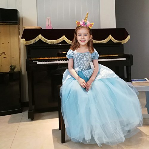 Disfraz de princesa de Cenicienta para Halloween o carnaval