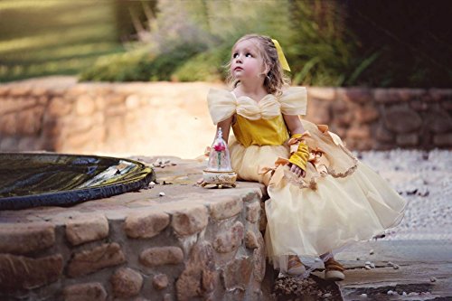 Disfraz de princesa de la Bella y la Bestia, vestido de fiesta de Halloween, vestido de princesa para niña