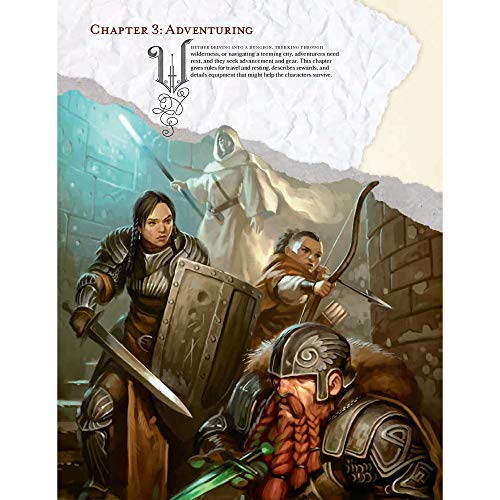 Dungeons & Dragons Starter-Set (Englisch Version): Fantasy Roleplaying Game Starter Set