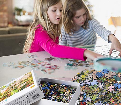 EACHHAHA 1000 Piezas Puzzle,Doce Constelaciones Redondas Puzzles para Adultos, Rompecabezas de Piso Juego de Rompecabezas y Juego Familiar