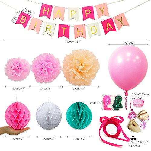 Eightnight Juegos de Papel para DIY Feliz cumpleaños Decoraciones Incluyendo Banner, Papel de Tejido Honeycomb Pom Pom Ball linternas, Flores, Cintas, Globos