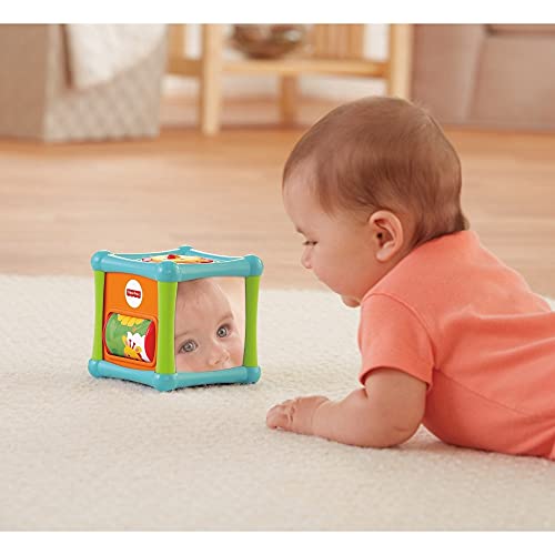 Fisher Price – Animal Activity Cube (BFH80)