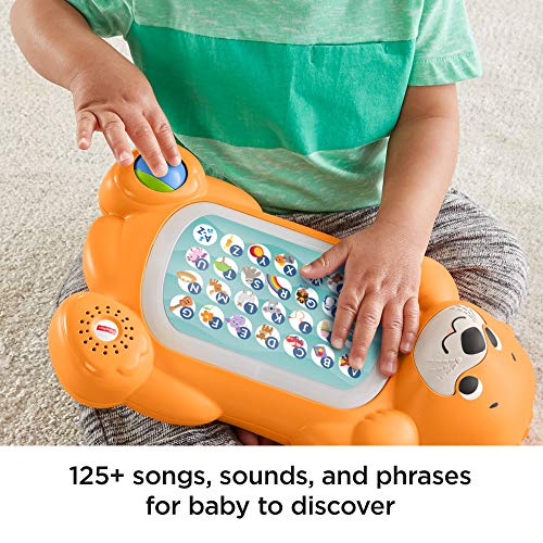 Fisher-Price- Aprendizaje, Multicolor (GCW09)