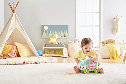 Fisher-Price BlinkiLinkis GJB05 - Erizo en alemán, Juguete a Partir de 9 Meses, Multicolor