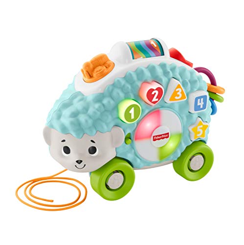 Fisher-Price BlinkiLinkis GJB05 - Erizo en alemán, Juguete a Partir de 9 Meses, Multicolor