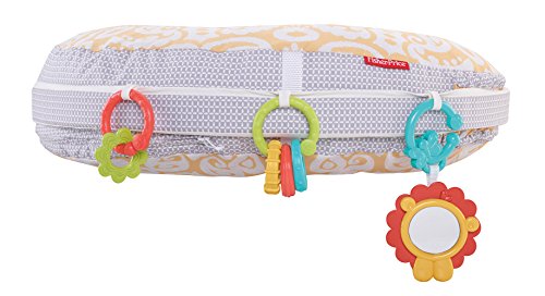 Fisher-Price - Cojín de Lactancia 4 en 1 (DGY01-2)