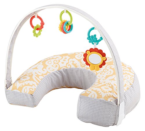 Fisher-Price - Cojín de Lactancia 4 en 1 (DGY01-2)