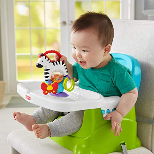 Fisher-Price FGH80 Actividad Cebra Juguete