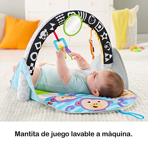 Fisher-Price Gimnasio Activity 2 en 1, Manta de Juego para Bebé (Mattel FXC14)