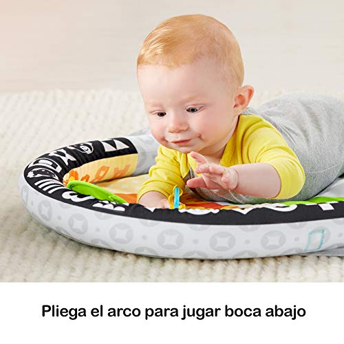 Fisher-Price Gimnasio Activity 2 en 1, Manta de Juego para Bebé (Mattel FXC14)