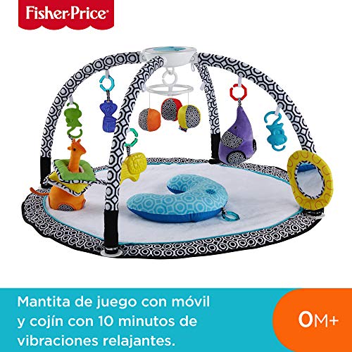 Fisher-Price - Gimnasio Estimula Los Sentidos, Manta de Juego para Bebé (Mattel DFP71)