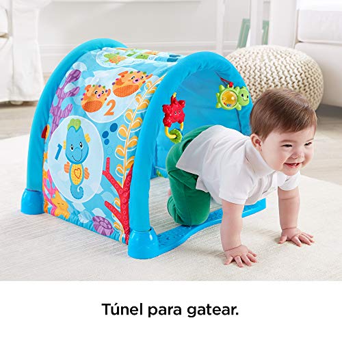 Fisher-Price - Gimnasio musical juega y gatea, para bebé +0 meses (Mattel DRD92)