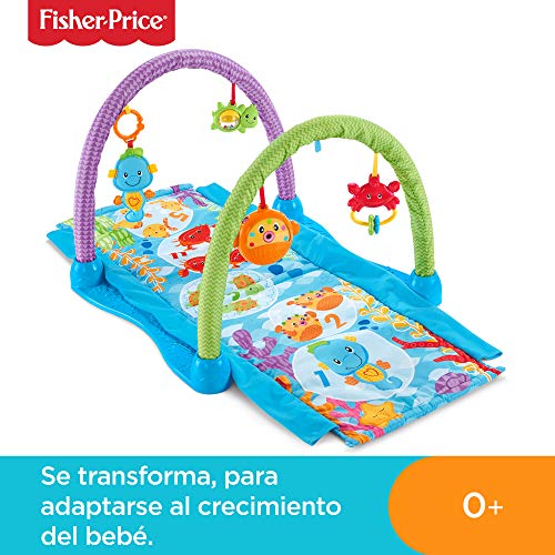 Fisher-Price - Gimnasio musical juega y gatea, para bebé +0 meses (Mattel DRD92)