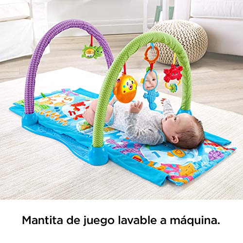 Fisher-Price - Gimnasio musical juega y gatea, para bebé +0 meses (Mattel DRD92)