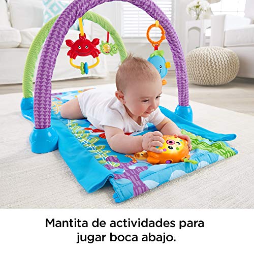 Fisher-Price - Gimnasio musical juega y gatea, para bebé +0 meses (Mattel DRD92)