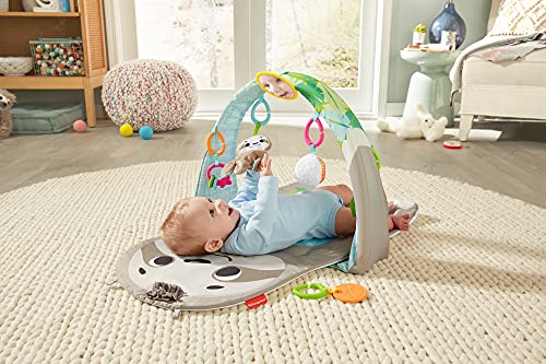 Fisher-Price - Gimnasio sensorial perezoso divertido, manta de juego y alfombra para bebé recien nacido con accesorios de juguete (Mattel GRV41)