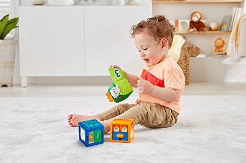 Fisher-Price GJW13 Stack & Discover Sensory Blocks