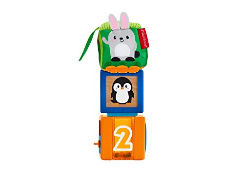 Fisher-Price GJW13 Stack & Discover Sensory Blocks