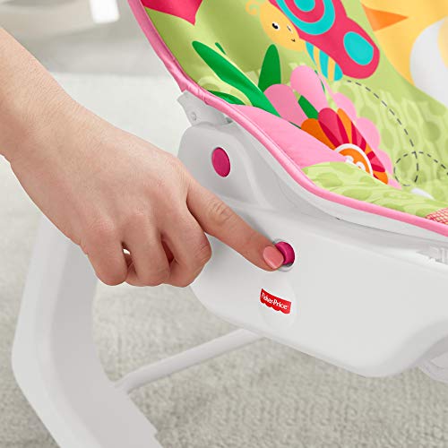 Fisher-Price - Hamaca Crece Conmigo Rock and Roar, Silla para Bebé (Mattel GNV70), Embalaje estándar