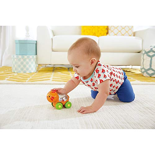 Fisher-Price Infant - Juguete Infantil, Multicolor Tigre Multicolor