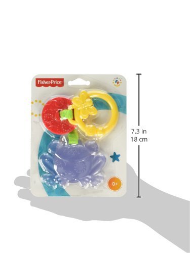 Fisher Price Infant – Mordedor con sonajero Rana Multicolor