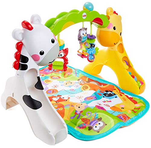 Fisher-Price Newborn-to-Toddler Play Gym