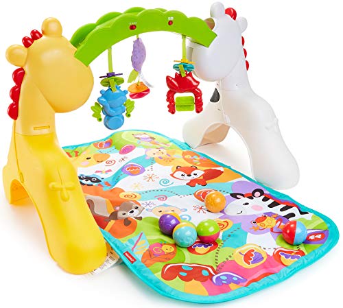 Fisher-Price Newborn-to-Toddler Play Gym