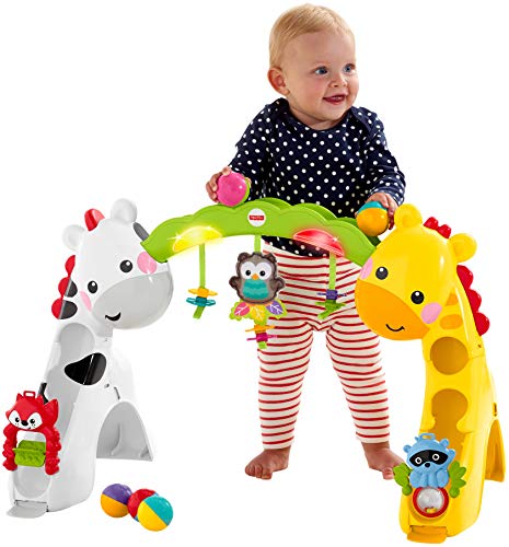 Fisher-Price Newborn-to-Toddler Play Gym