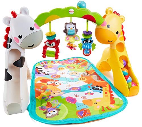 Fisher-Price Newborn-to-Toddler Play Gym