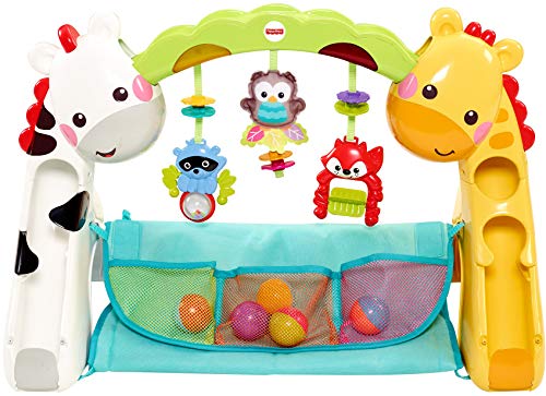 Fisher-Price Newborn-to-Toddler Play Gym