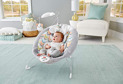 Fisher-Price Sweet Snugapuppy Dreams Deluxe Bouncer (Mattel GWD50)