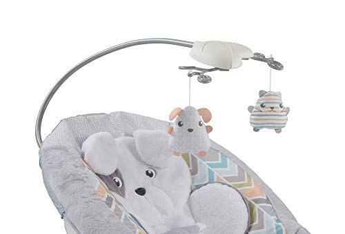 Fisher-Price Sweet Snugapuppy Dreams Deluxe Bouncer (Mattel GWD50)