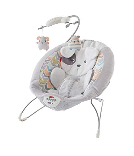 Fisher-Price Sweet Snugapuppy Dreams Deluxe Bouncer (Mattel GWD50)