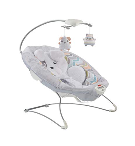 Fisher-Price Sweet Snugapuppy Dreams Deluxe Bouncer (Mattel GWD50)