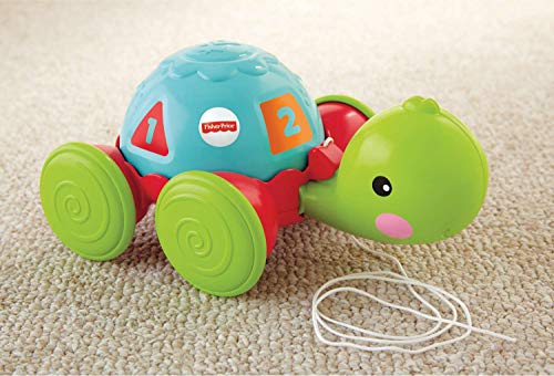 Fisher-Price - Tortuga de Arrastre, Juguete Gateo Bebés +1 año (Mattel Y8652)