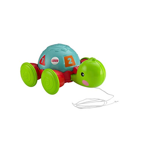 Fisher-Price - Tortuga de Arrastre, Juguete Gateo Bebés +1 año (Mattel Y8652)