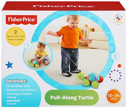 Fisher-Price - Tortuga de Arrastre, Juguete Gateo Bebés +1 año (Mattel Y8652)