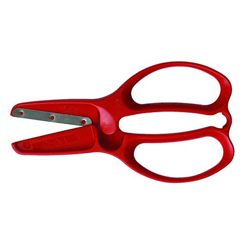 Fiskars Tijeras para Preescolar, A partir de 3 años, Para cortar papel, Longitud: 11 cm, Hoja de acero inoxidable/Mangos de plástico, Rojo o Azul (Entrega aleatoria), 1003855