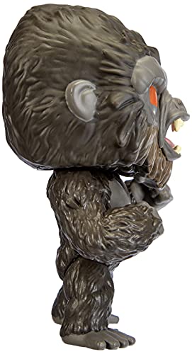 Funko- Pop Movies Godzilla Vs Angry Kong Figura coleccionable, Multicolor (50952)