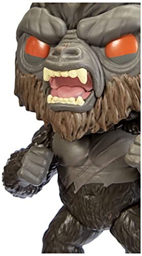 Funko- Pop Movies Godzilla Vs Angry Kong Figura coleccionable, Multicolor (50952)